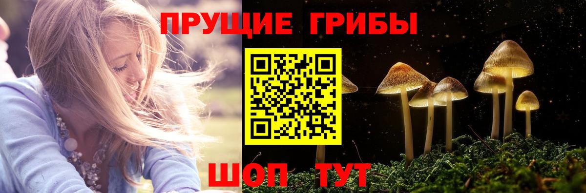 Галлюциногенные грибы Psilocybe  Вход с VPN  Апатиты 